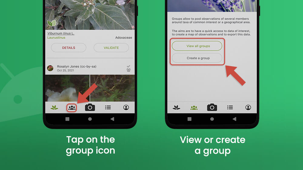 PlantNet View or Create a Group