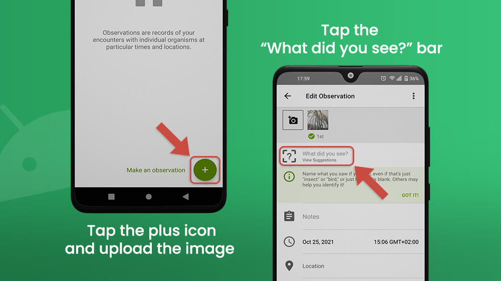 iNaturalist Upload Photo and View Suggestions