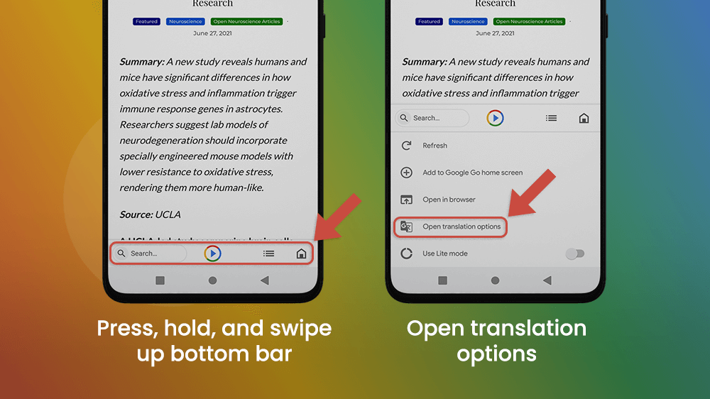 Google Go Open Translation Options