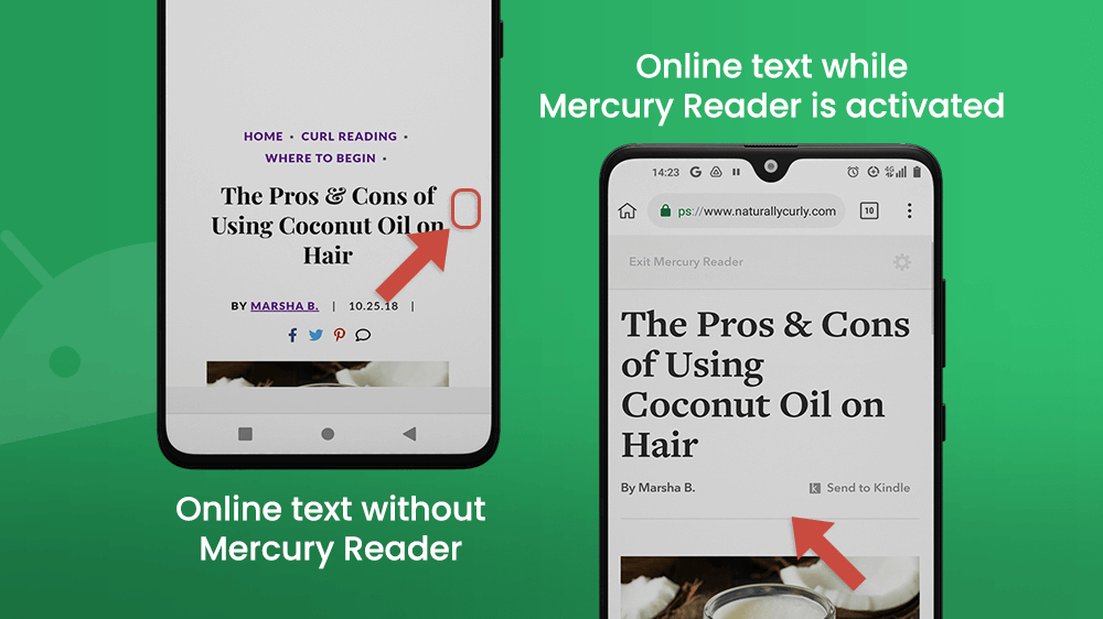 Mercury Reader Text Example