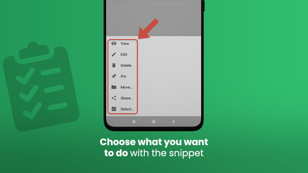 12. Snippet Options