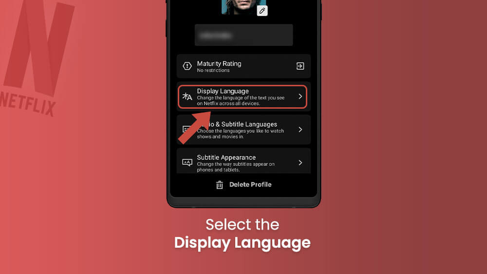 3. Select the Display Language Option in Netflix App