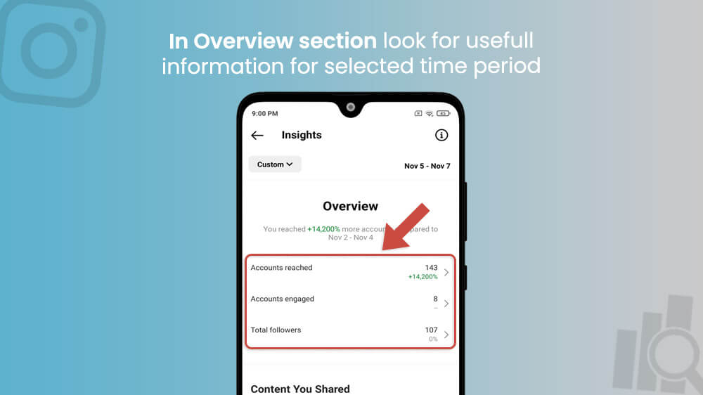 6. Instagram Overview Section for Selected Time